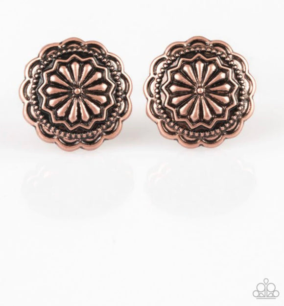 Durango Desert copper post earrings